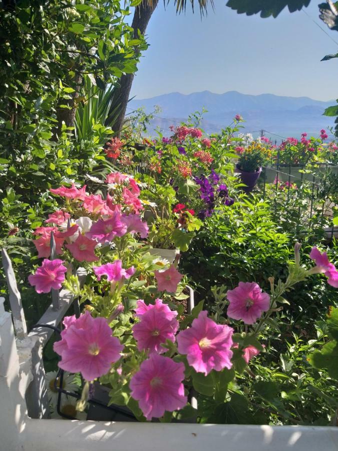 Guesthouse Villa Joanna&Mattheo Sarande Bagian luar foto